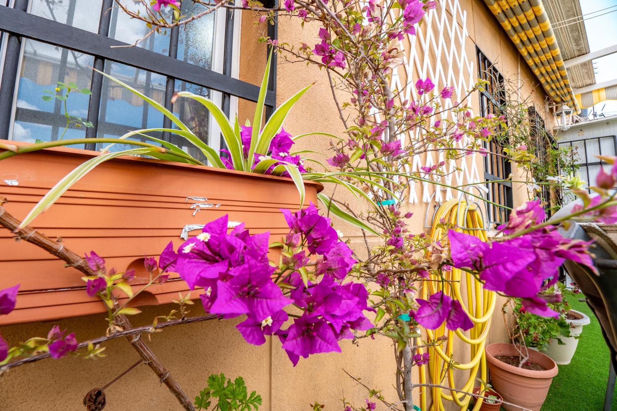 Atico Con Terraza Junto A La Catedral Daire Huelva Dış mekan fotoğraf